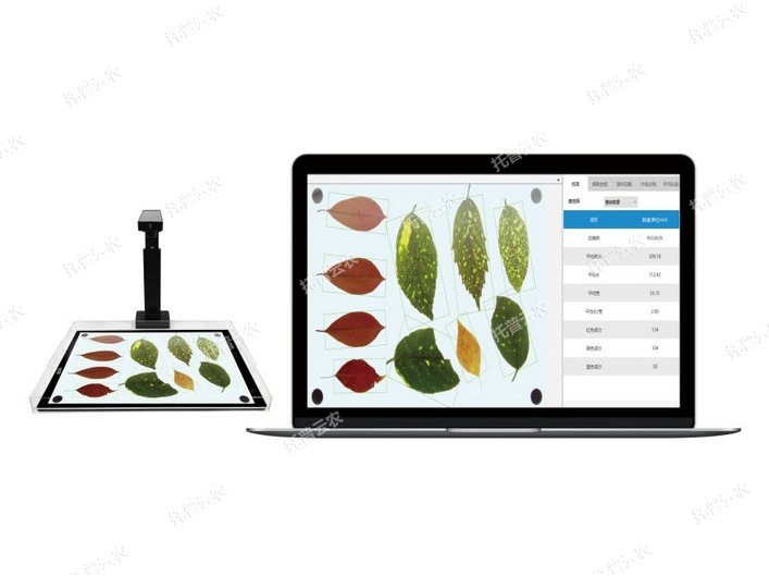 高通量葉面積分析系統